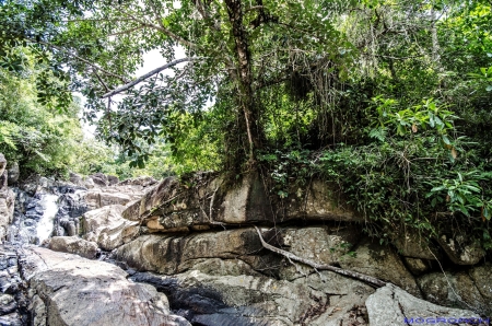 Koh Phangan