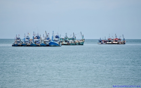 Koh Phangan