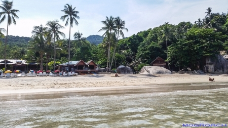 Koh Phangan