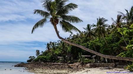 Koh Phangan