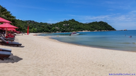 Koh Phangan