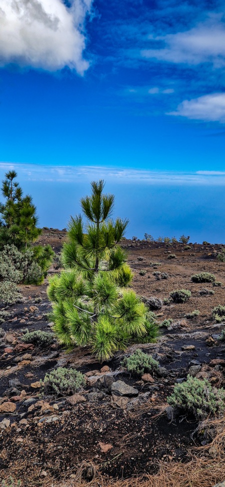 La Palma