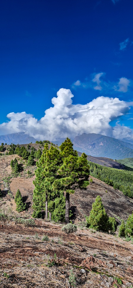 La Palma