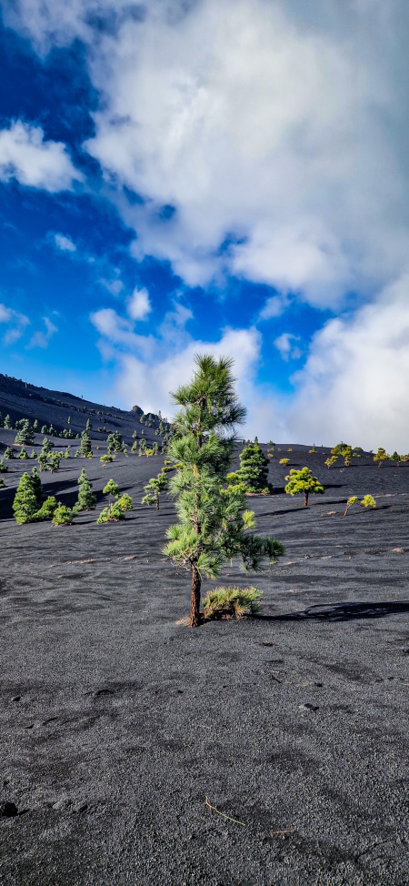 La Palma