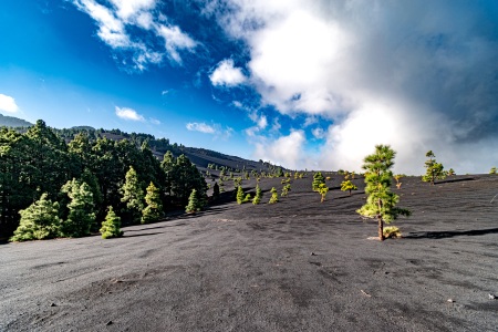 La Palma