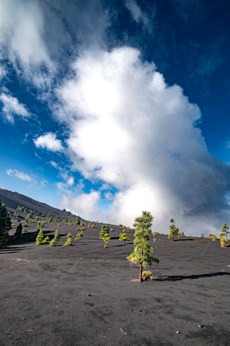 La Palma