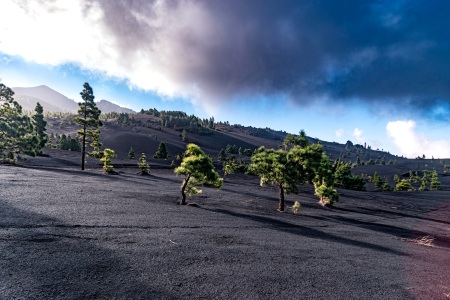 La Palma