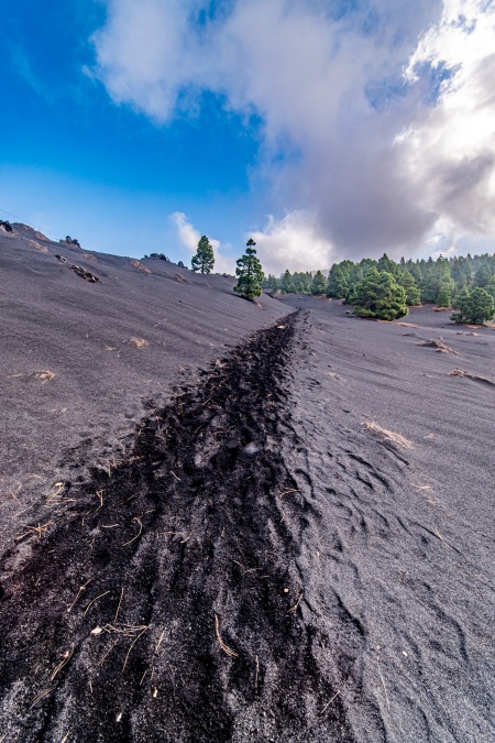 La Palma