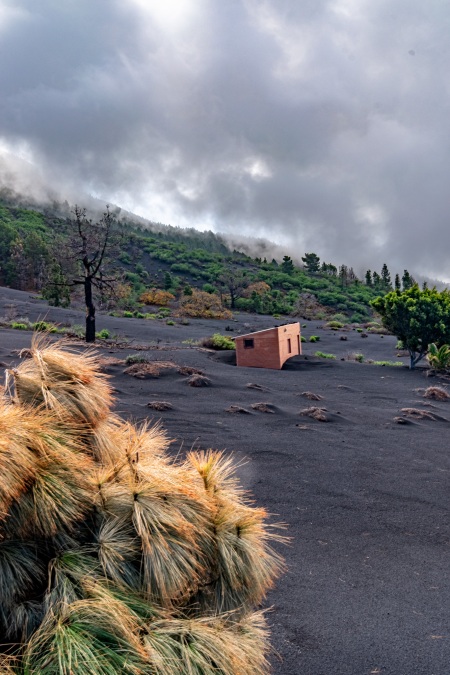 La Palma