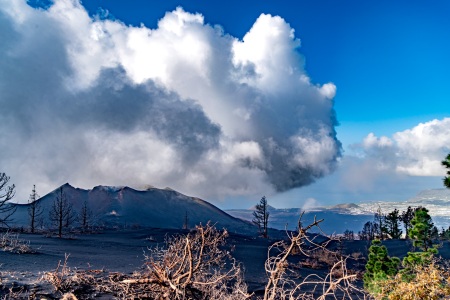 La Palma