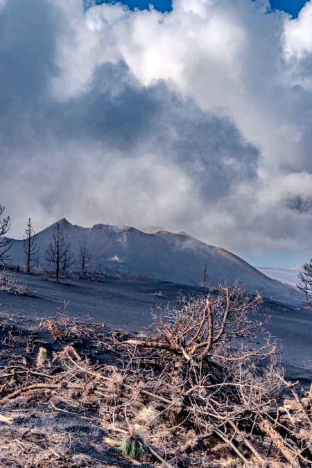 La Palma