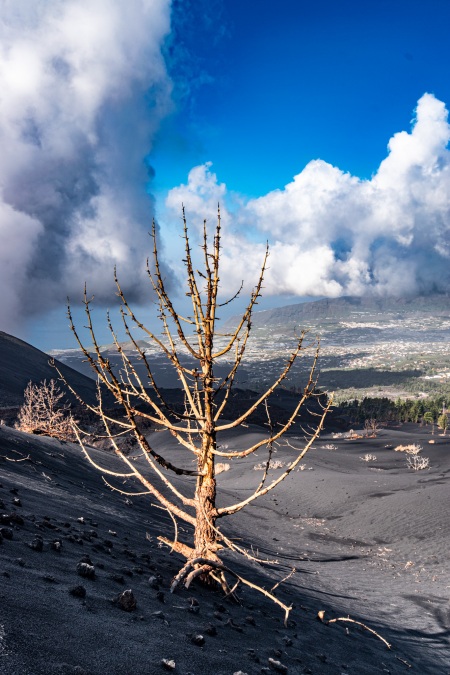 La Palma