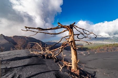 La Palma