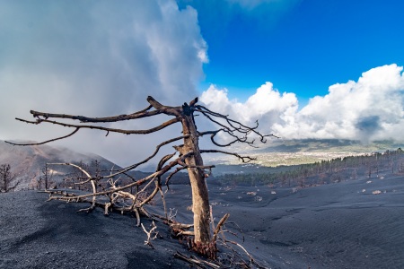 La Palma