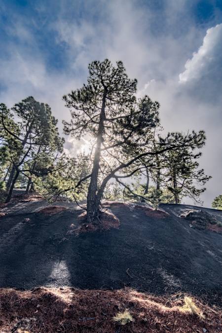 La Palma