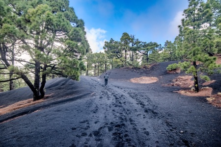 La Palma