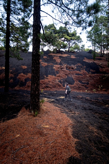 La Palma