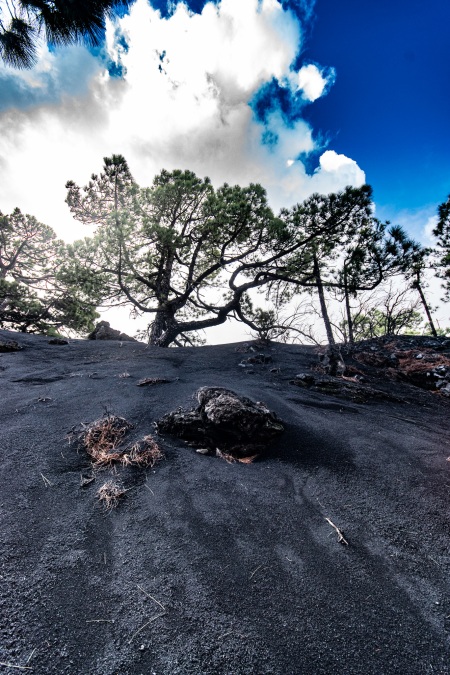 La Palma