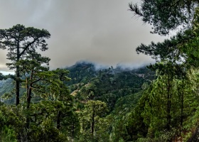 La Palma