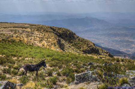 Lalibela