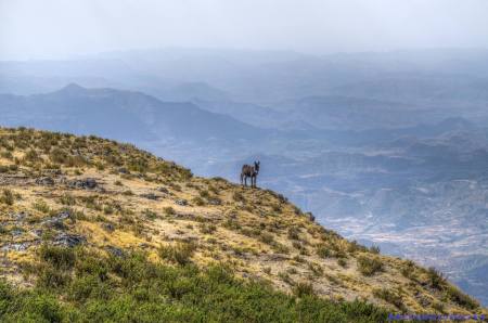 Lalibela