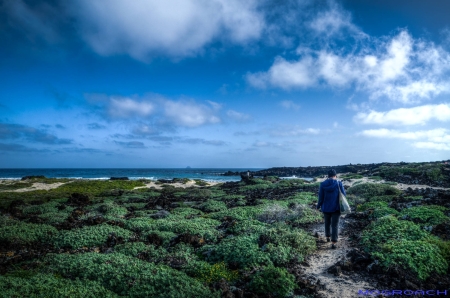 Caleta del Mojon (14)