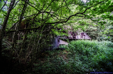 Maginot Linie - Ouvrage Brehain