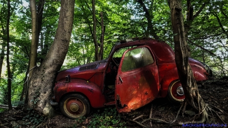 Auto-Skulpturen-Park