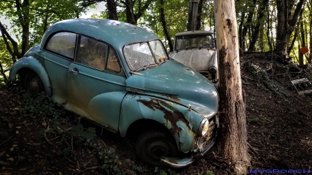 Auto-Skulpturen-Park