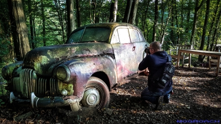 Auto-Skulpturen-Park