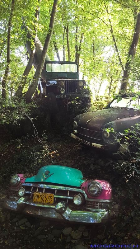 Auto-Skulpturen-Park