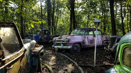 Auto-Skulpturen-Park