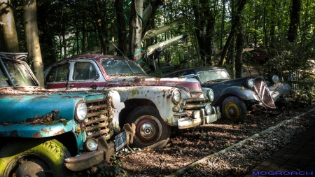 Auto-Skulpturen-Park