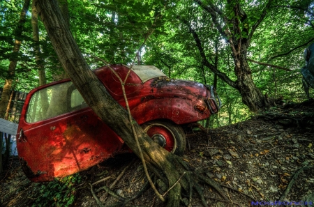 Auto-Skulpturen-Park