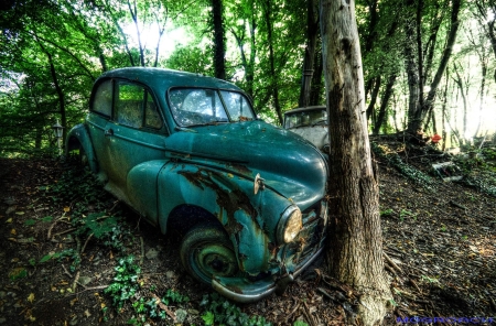 Auto-Skulpturen-Park