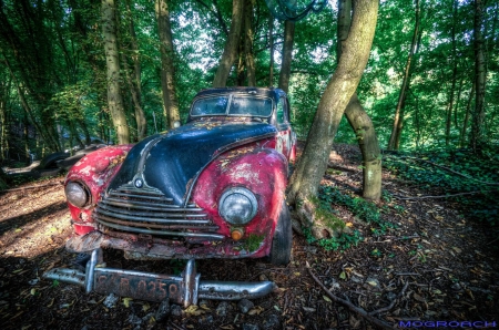 Auto-Skulpturen-Park