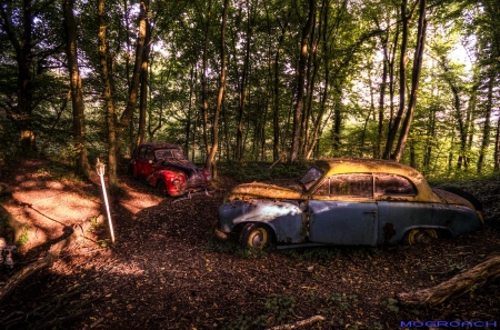 Auto-Skulpturen-Park