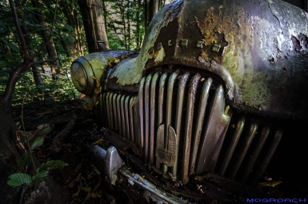 Auto-Skulpturen-Park