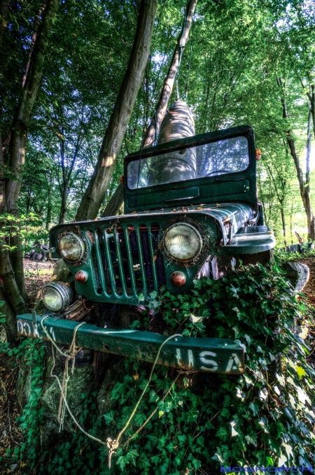 Auto-Skulpturen-Park