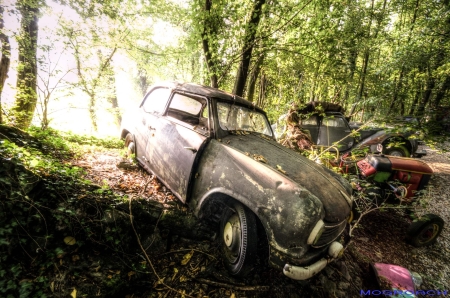 Auto-Skulpturen-Park