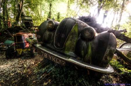 Auto-Skulpturen-Park