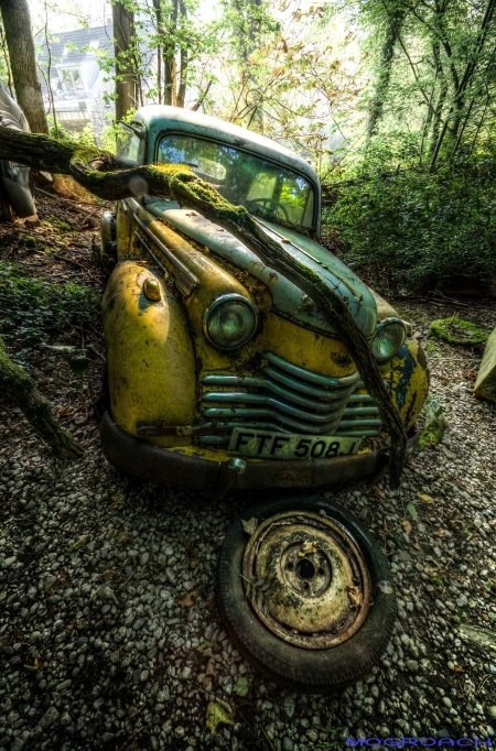 Auto-Skulpturen-Park