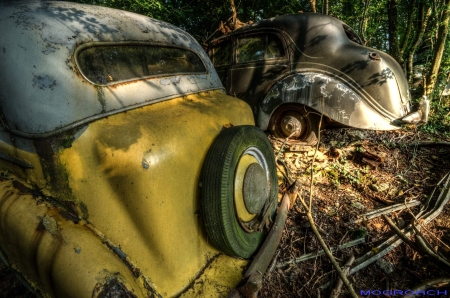 Auto-Skulpturen-Park