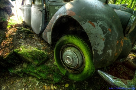 Auto-Skulpturen-Park