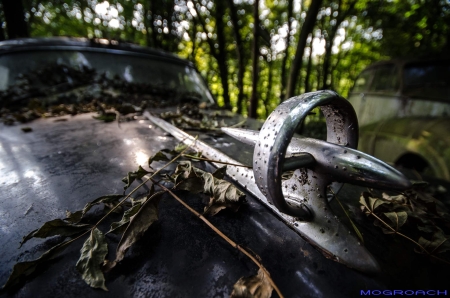 Auto-Skulpturen-Park