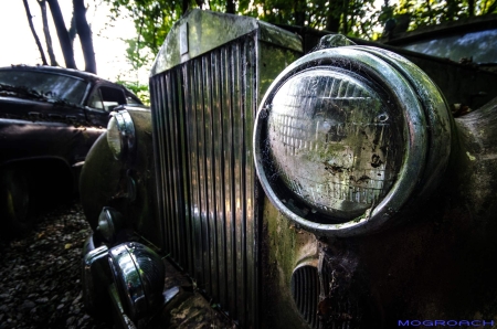 Auto-Skulpturen-Park