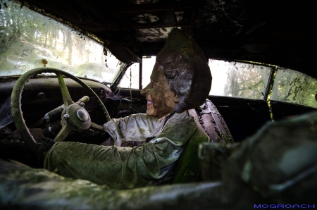 Auto-Skulpturen-Park