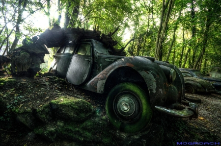 Auto-Skulpturen-Park