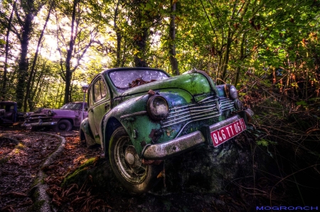 Auto-Skulpturen-Park