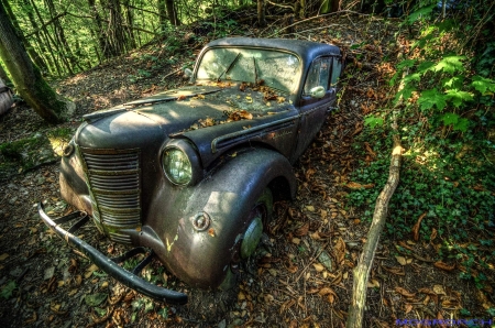 Auto-Skulpturen-Park